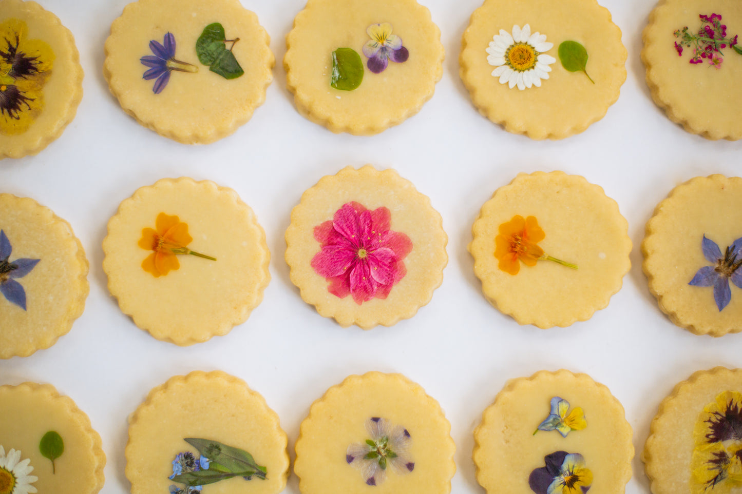 Sweet Botanical Bakes